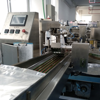Machine d'emballage rotative LINPACK entièrement automatique pour sachets à fond plat préformés avec fermeture éclair, pour aliments lyophilisés pour chiens et animaux de compagnie