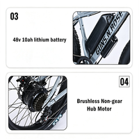 Vente en gros d'usine Vélo de montagne électrique personnalisable 48v Lithium 350W Batterie 12AH Frein à disque Pneu gras confortable pour adultes