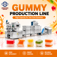Moderne leverancier van hoogproductieve 304SS gummy candy lijnen voor industriële fruitgummy productie in een verwerkingsbedrijf