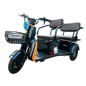 C18 600 Watts Factory Custom Wholesale High Quality New Energy Passenger Electric Tricycles