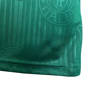 Palmeiras Home Gendervrij Voetbal Groene Nieuwe Trui Nieuwe Volwassen Aangepaste Match Training Sub 2024 Geschikte Stijl Unisex Americas