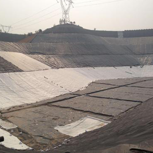 Yüksek Performanslı 1mm HDPE Geomembran, Açık Hava Balık Yetiştiriciliği İçin Yüksek Jeoteknik Güçlendirme - Product Image 4