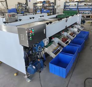 Hạt tiêu đen Cranberry SORTER dừa citrus Cherry cà rốt khoai tây Apple citrus Ngày Trái cây SORTER Phân Loại Chấm điểm máy - Product Image 3