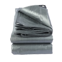 Bâche en toile imperméable multi-usage 250 g/m² 4x5 m en PE argenté pour échafaudage, bâtiment, entrepôt, abri