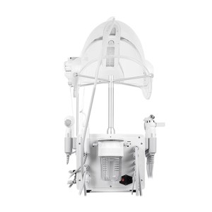 Newest Portable Multi-Voltage 11in1 Oxygenation O2 Therapy Oxygen Facial Dome Skin Jet Peeling Hydra Beauty Machine EU UK - Product Image 6