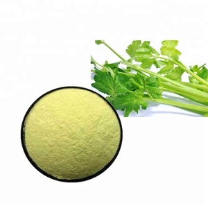 セロリ粉末アピゲニンエキス98% 食品グレード植物エキスドラム包装工場直送 - Product Image 2
