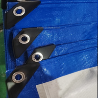 Nouvelle conception de bâche en PE légère, résistante aux UV, imperméable, avec bords renforcés et œillets métalliques, tailles personnalisées, vente en gros