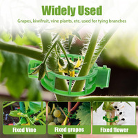 100 attaches de soutien pour plantes, clips réutilisables en plastique pour vignes de jardin, pour légumes et tomates, fournitures de jardinage