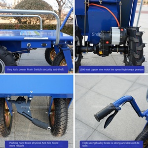 חשמלית בעלת ארבעה גלגלים חשמלית קטנה לדחוף חקלאות מנדס פלטפורמה משק בית לשתול עגלה מפעל אוטובוס לעגלות יד - Product Image 4