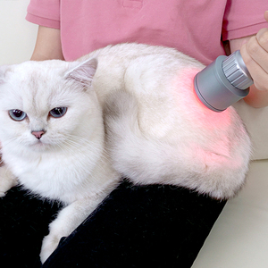 Klasse 4 Veterinär-Laser therapie geräte 810nm 980nm Für Tiere Reduzieren Sie Schmerzen und Entzündungen - Product Image 4