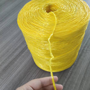 Tali <span class=keywords><strong>Baler</strong></span> persegi 2 lapis benang Polipropilena tali tanaman tomat benang untuk kemasan Pertanian Pertanian - Product Image 1