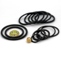 Kits de réparation manuels compacts DWS 3 5/8 OEM résistants à l'usure avec joints HNBR FKM pour une longue durée de vie, pour les opérations dans les champs pétrolifères du Texas ouest