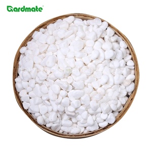 Pierres <span class=keywords><strong>de</strong></span> rivière décoratives GARDMATE blanches comme <span class=keywords><strong>neige</strong></span> 0,6-1 cm 1,8 kg modernes et imperméables pour aquarium, réservoir <span class=keywords><strong>de</strong></span> poissons, plantes en pot, décoration <span class=keywords><strong>de</strong></span> jardin - Product Image 1