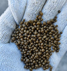 Diammonium Phosphate DAP 18-46-0 để bán Chất lượng cao được sử dụng trong nông nghiệp cho độ phì nhiêu của đất và tăng trưởng cây trồng - Product Image 1