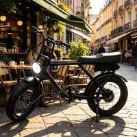 Vélo électrique adulte style rétro à pneus larges 36V 20AH 250W 20"x4" avec frein hydraulique pour usage urbain et extérieur