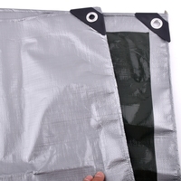Bâche en PEHD Vert Argenté Imperméable pour Jardin, Balcon, Terrasse – Tissu de Protection pour Moto et Plantes Contre la Pluie