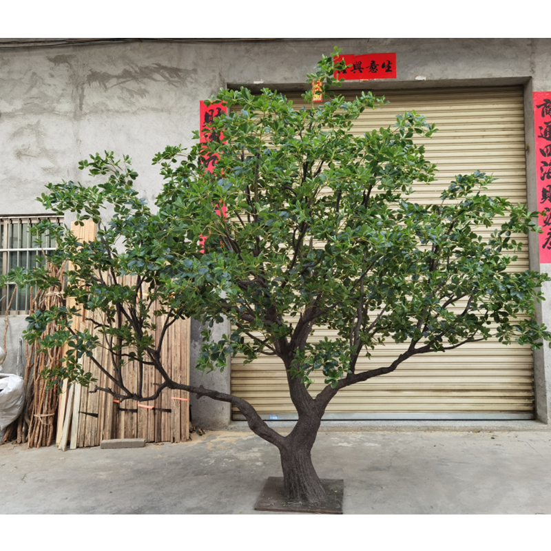 Arbre 4