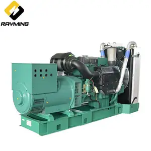 Generatori Diesel Rayming per generatore 100kw Set Diesel 125 kva