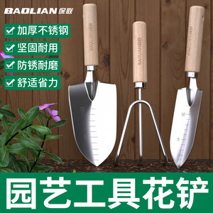 พลั่วสวนสแตนเลส Baolian ด้ามไม้ ออกแบบตามหลักสรีรศาสตร์ สำหรับขุดปลูก ดินหลวม - Product Image 4