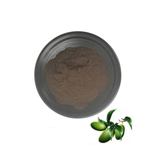 Hochwertiger Oliven blattex trakt wasser lösliches Oleuropein - Product Image 6