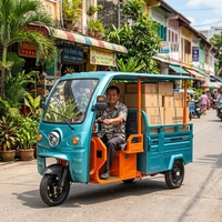 Rickshaw électrique robuste 60V batterie au plomb triple système de freinage tricycle électrique pour le transport de passagers
