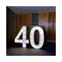 Décorations de mariage : Lettres lumineuses « Marry Me », lettres LED de 4 pieds, lettres lumineuses LED, alphabet LED, lettres LOVE