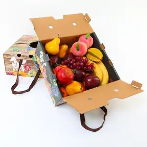 Die Cut Corrugated Cardboard Carton Box for 5kg Apple Orange Cartons Fruit and Vegetable Fruits Box