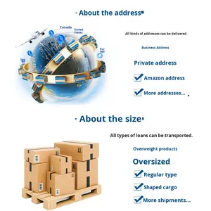 Expédition Express Internationale Dédiée au Moyen-Orient et à la Jordanie, Fret Aérien FEDEX/UPS/DHL, Marchandises Dangereuses Spéciales, Double Sécurité - Product Image 6