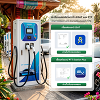 Estación de Carga Rápida para Vehículos Eléctricos Bluesky de 120kW con Doble Conector, IP55 Anticorrosión, Certificación PEA, Actualización Remota OTA, Clima Tropical, Nueva
