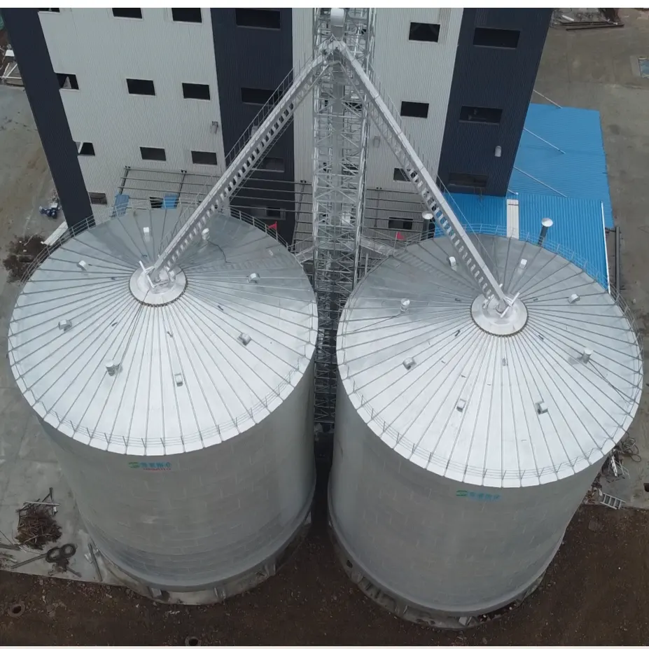 Large capacity wheat rice paddy flat bottom silo for long time storage