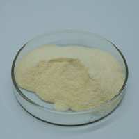 Enzyme Bromélaïne de Qualité Alimentaire, Additif Alimentaire, 2400 GDU, Poudre d'Enzyme Bromélaïne Pure