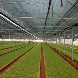 HDPE Tela Agro Planta Sombrilla <span class=keywords><strong>Malla</strong></span> <span class=keywords><strong>Sombra</strong></span> Red <span class=keywords><strong>Sombra</strong></span> Tela - Product Image 6