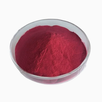 Poudre de Betterave OEM en Dropshipping – Antioxydant, Complément Alimentaire Herbal pour la Santé, Soutien Immunitaire et Gestion de l'Énergie 454g