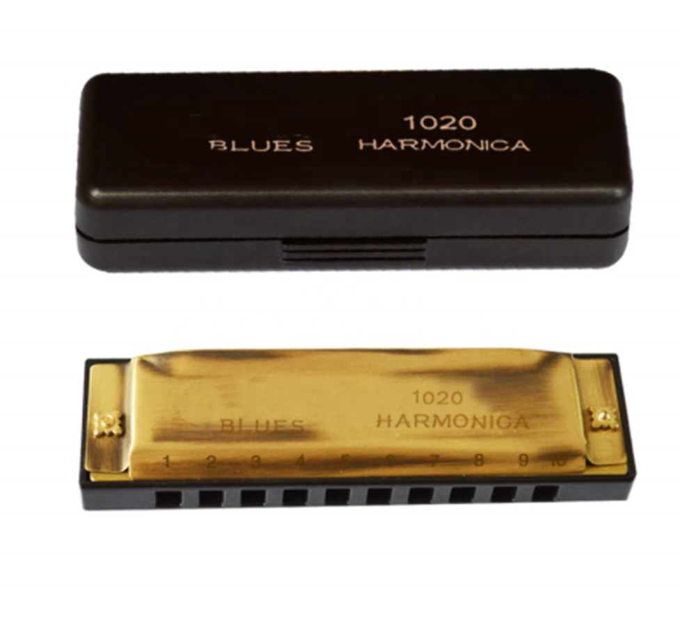 Bronze color 10 hole blues harmonica 20 tone music instruments
