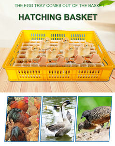 Cesta de incubadora amarela para cobertura, 88 ovos, cestas de cobertura, peças sobresselentes - Product Image 6