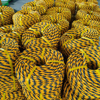 Corde en PE de haute qualité pour usage agricole, résistante aux UV, fabricant de cordes en plastique