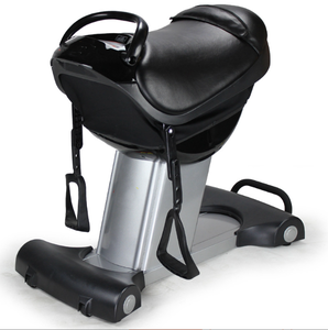 Home Fitness Elektrische Outdoor Paardrijmachine Verticale Aërobe Vetverbranding Afslankende Trillingsplatform Voor Lichaamsbeweging - Product Image 3