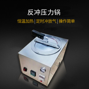 Esterilizador de Laboratorio de 10L, Autoclave Dental a Presión para Limpieza y Desinfección de Equipos Dentales - Product Image 2