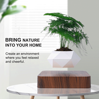 Nouvelle Mode Dropshipping Lévitation Pot De Plantes Flottant Pot De Fleurs À Lévitation Magnétique Pour La Décoration Cadeaux D'affaires