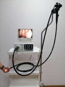 Torre de Video Gastroscopio y Colonoscopio Veterinario Flexible Todo en Uno para Animales - Product Image 6