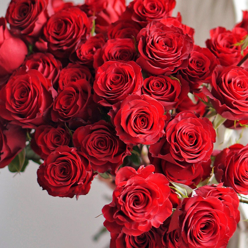 20 selected red roses of c-d grade