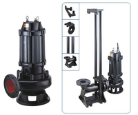 Pompe à eaux usées submersible DENGFENG WQ en fonte/acier inoxydable, usage commercial, 0,75-110 kW, basse pression, moteur IPX8, garantie OEM 1 an