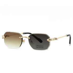 Nouvelles lunettes <span class=keywords><strong>de</strong></span> soleil photochromiques sans monture, design tête <span class=keywords><strong>de</strong></span> léopard, protection UV, verres adaptatifs à la lumière - Product Image 1