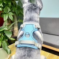 Conjunto de Arnés para Mascotas con Diseño de Hoja de Monstera de Lujo, Chaleco de Malla Transpirable Ecológico para Perros con Correa y Collar a Juego para Paseos Urbanos