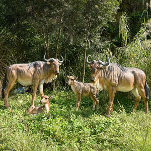 Escultura de Ganso Realista de Resina de Alta Calidad, Decoración Artificial Elegante para Jardín o Parque al Aire Libre - Product Image 4