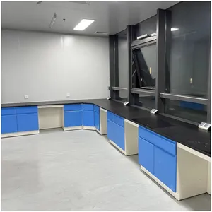 Furnitur Lab standar Eropa dengan garansi 5 tahun dengan wastafel/keran air/rak reagen/lemari dinding