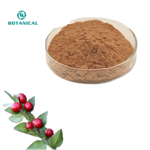 Chiết Xuất Từ Rễ Cây <span class=keywords><strong>Ruscus</strong></span> Aculeatus Chất Lượng Cao/Chiết Xuất Từ Cây Chổi Đồ Tể Chiết Xuất Từ Cây Chổi Thảo Dược Giá Tốt Nhất Ruscogenin - Product Image 1
