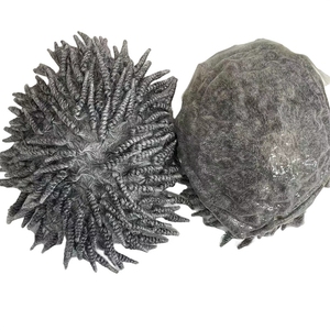 Sistema de cabello humano 100% atado a mano para <span class=keywords><strong>hombre</strong></span> 1B80 gris #8*10 <span class=keywords><strong>trenzas</strong></span> <span class=keywords><strong>afro</strong></span> Base de PU de piel de 6 pulgadas con densidad 130% - Product Image 5