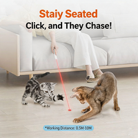 Jouet pour chaton d'intérieur, type C rechargeable, léger (22,2 g), stylo, autonomie de 15 jours, pointeur laser interactif pour animaux de compagnie