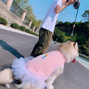 S ~ 6XL gros <span class=keywords><strong>famille</strong></span> petit moyen grand <span class=keywords><strong>chien</strong></span> <span class=keywords><strong>de</strong></span> compagnie correspondant vêtements vêtements robe - Product Image 3